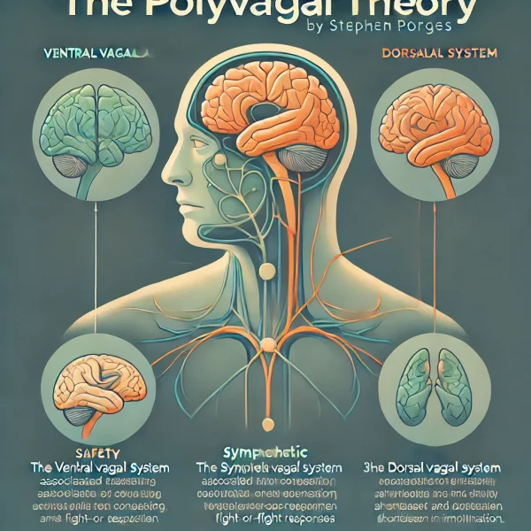 Polyvagal theory